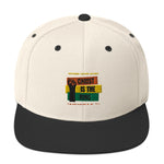 FFA Black History Month Snapback