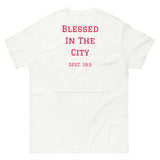 The City Tee Valentine's Day Edition [Roses Collection]